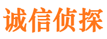 梁园外遇出轨调查取证